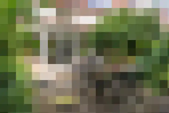 Snoeksloot 114 Houten thumbnail 18