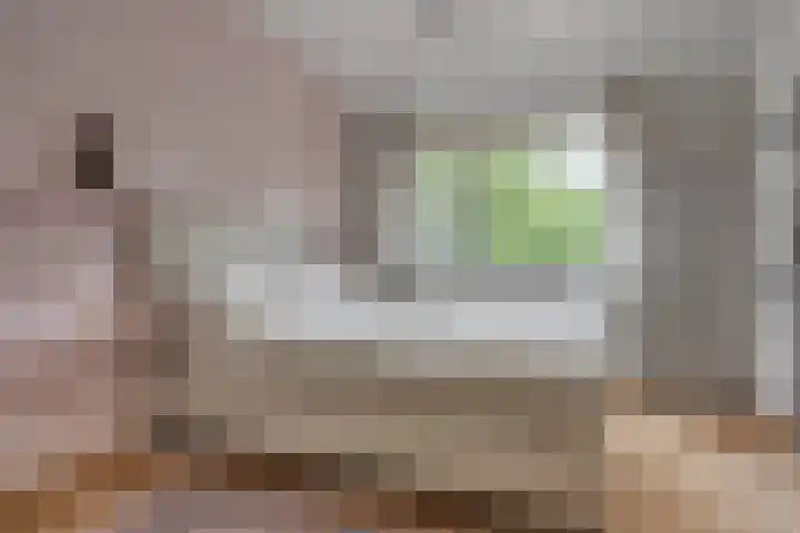 Snoeksloot 114 Houten thumbnail 22