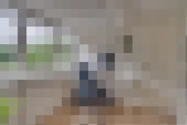 Snoeksloot 114 Houten thumbnail 34