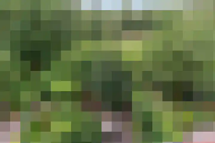 Snoeksloot 114 Houten thumbnail 35