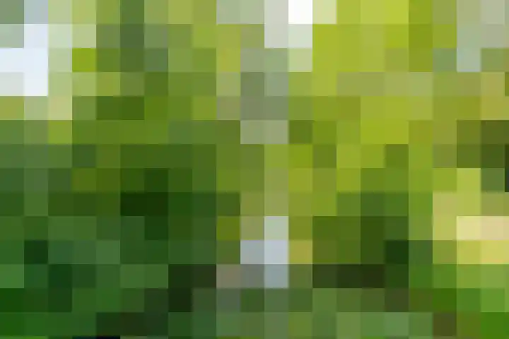 Snoeksloot 114 Houten thumbnail 38