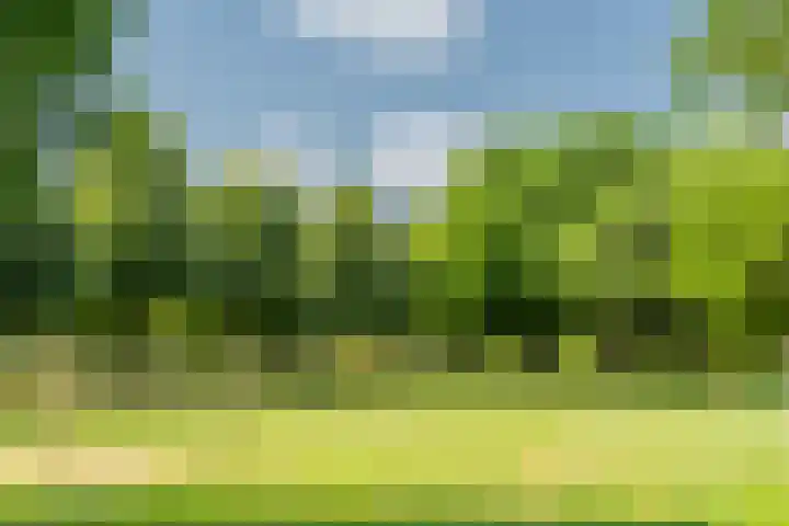 Snoeksloot 114 Houten thumbnail 39