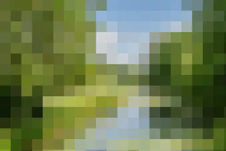 Snoeksloot 114 Houten thumbnail 40