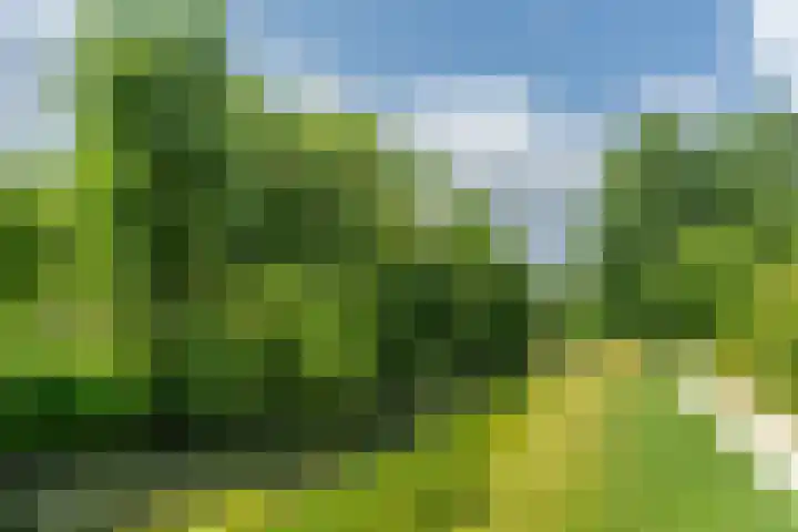 Snoeksloot 114 Houten thumbnail 41