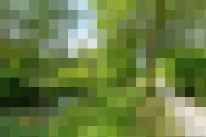 Snoeksloot 114 Houten thumbnail 42