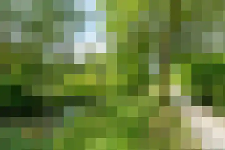 Snoeksloot 114 Houten thumbnail 43