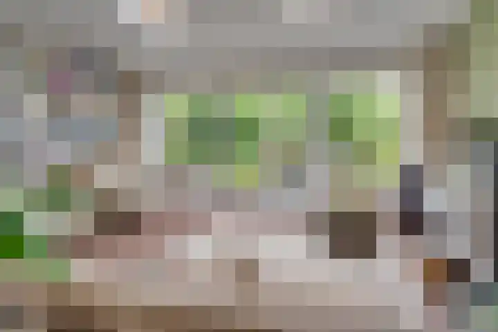 Snoeksloot 114 Houten thumbnail 6