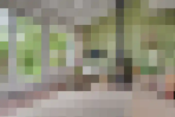 Snoeksloot 114 Houten thumbnail 7