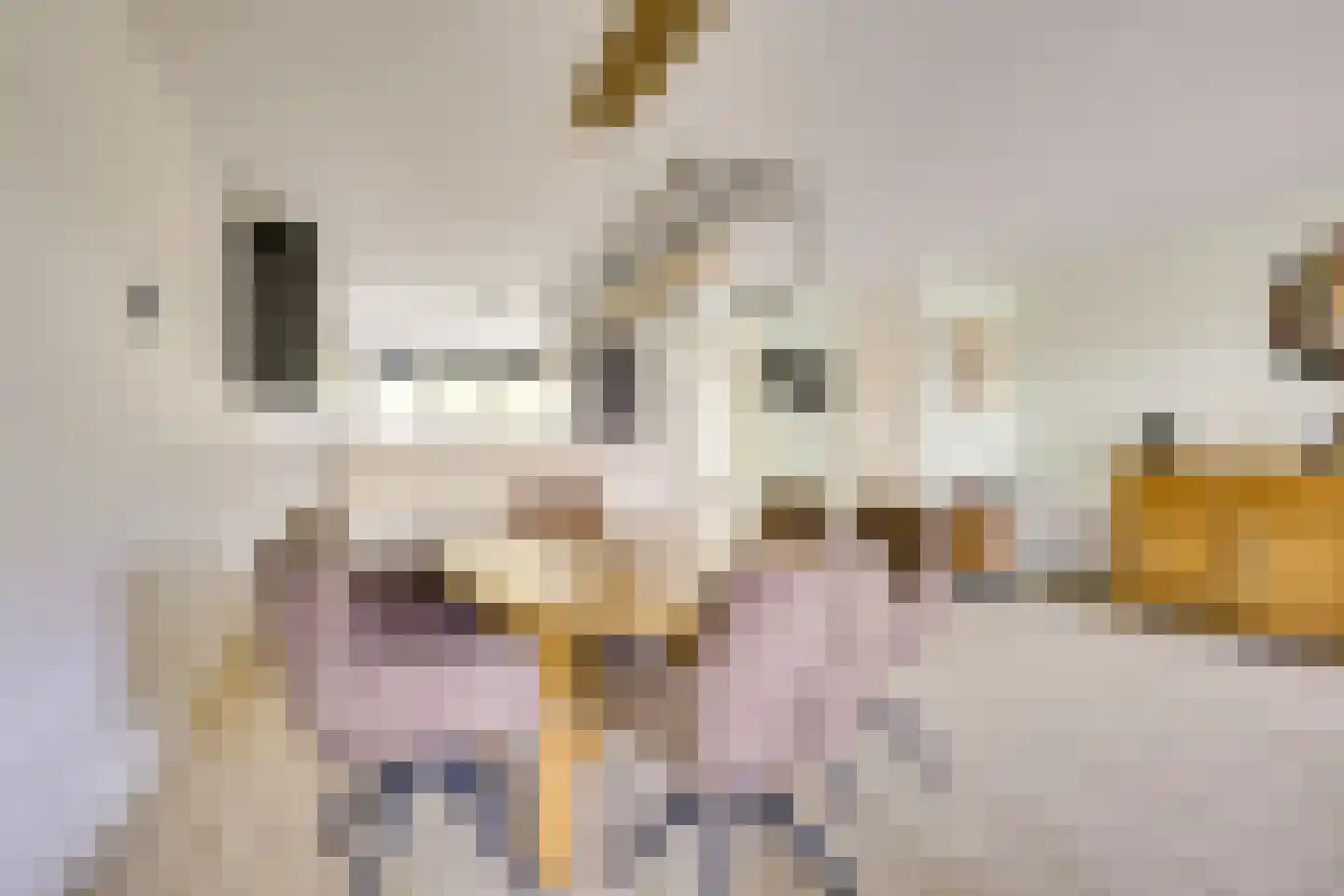 Snoeksloot 13 Houten thumbnail 12