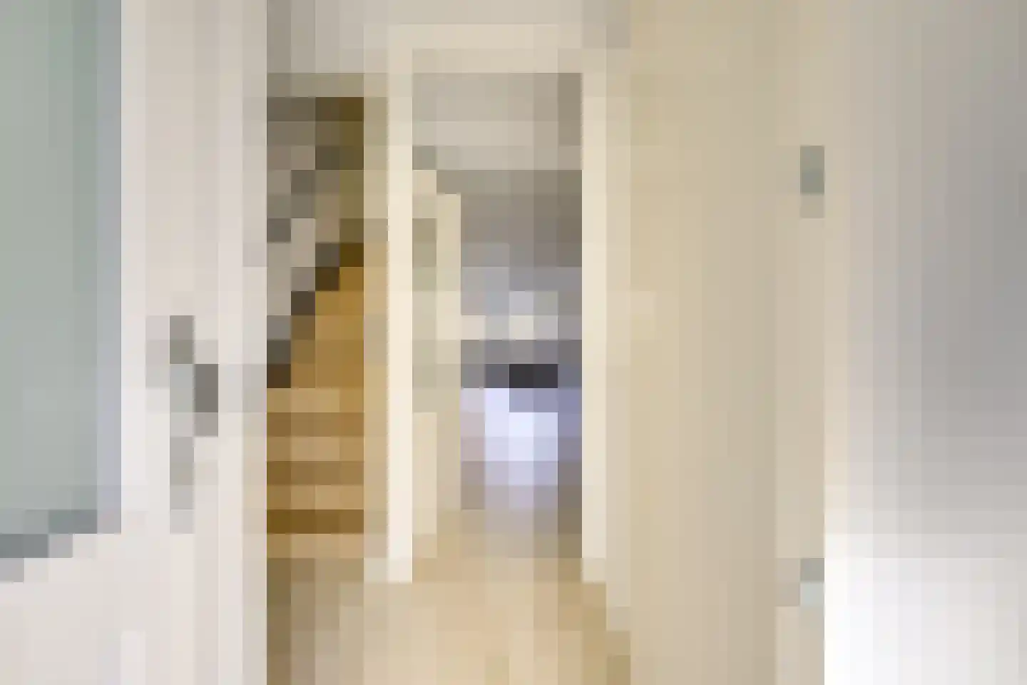 Snoeksloot 13 Houten thumbnail 4