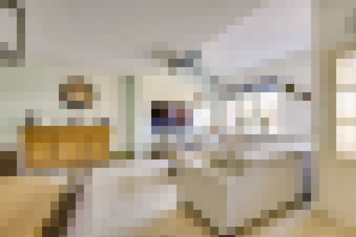 Snoeksloot 13 Houten thumbnail 9