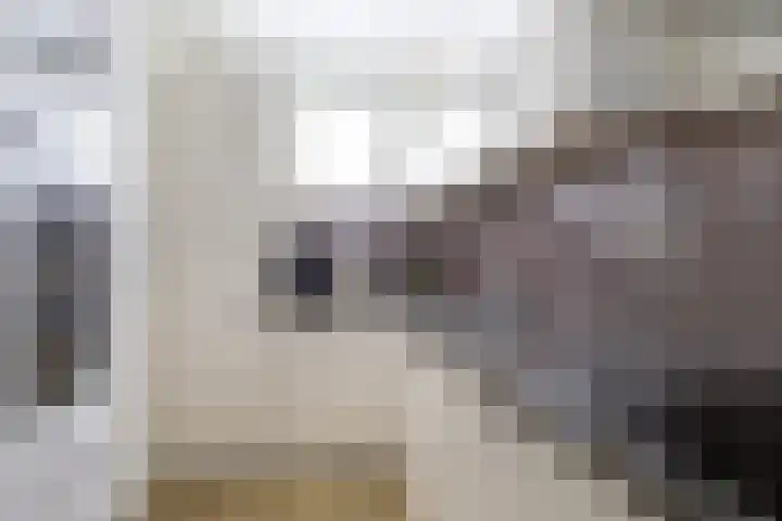 Snoeksloot 131 Houten thumbnail 14
