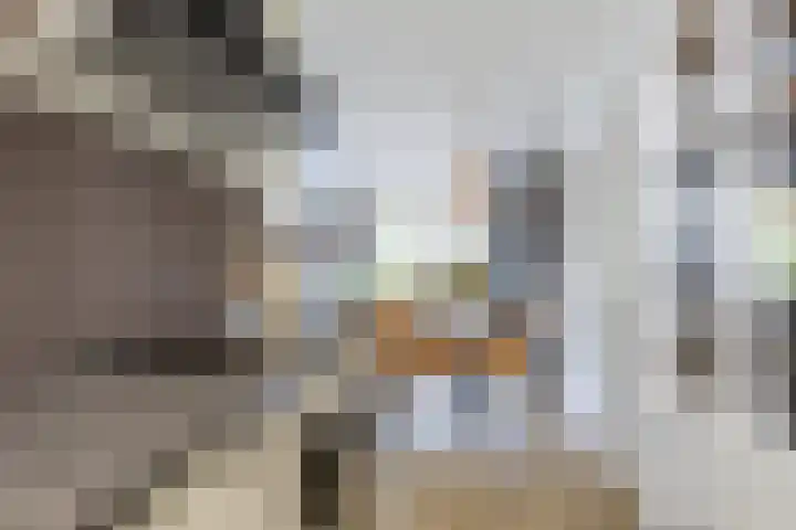 Snoeksloot 131 Houten thumbnail 15