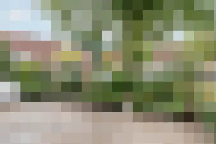 Snoeksloot 131 Houten thumbnail 16