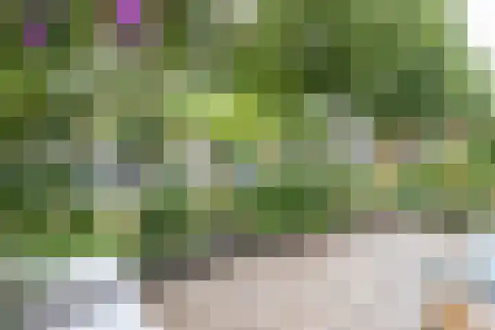 Snoeksloot 131 Houten thumbnail 20