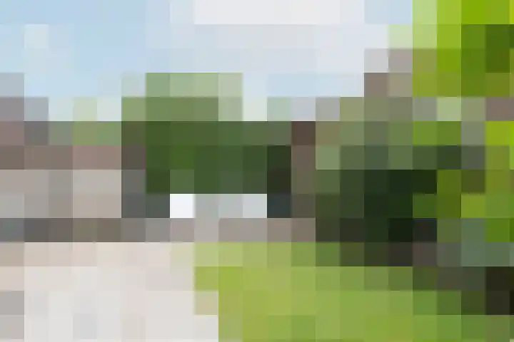 Snoeksloot 131 Houten thumbnail 37