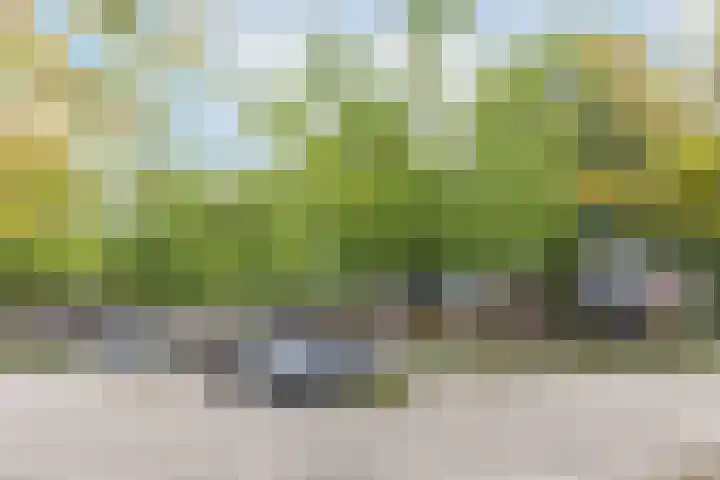 Snoeksloot 131 Houten thumbnail 41