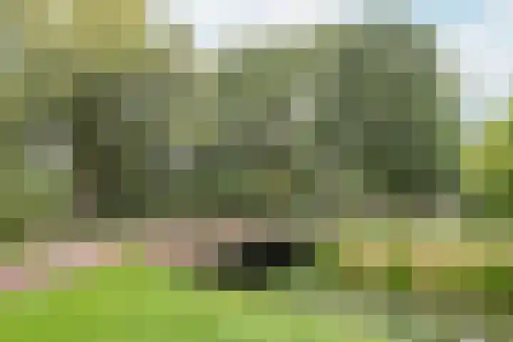 Snoeksloot 131 Houten thumbnail 43