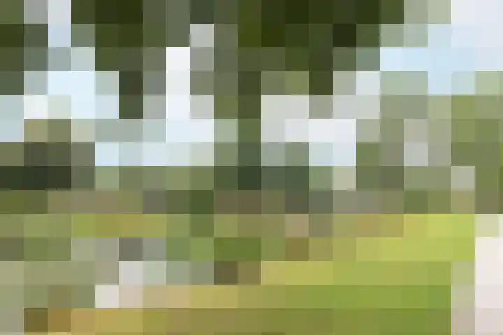Snoeksloot 131 Houten thumbnail 44
