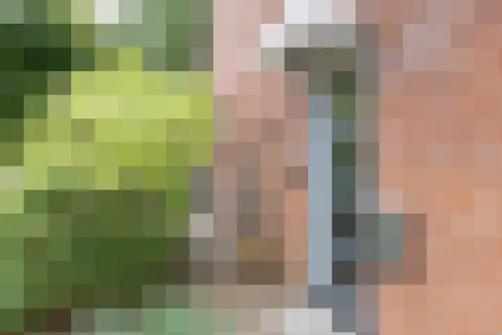 Snoeksloot 131 Houten thumbnail 5