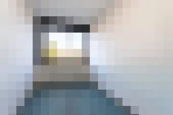 Snoeksloot 52 Zoetermeer thumbnail 18