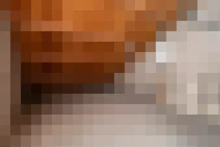 Snoeksloot 52 Zoetermeer thumbnail 23