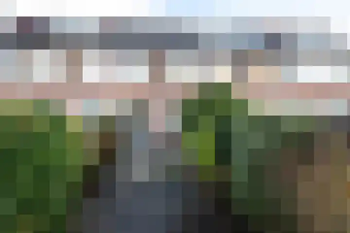 Snoeksloot 52 Zoetermeer thumbnail 28