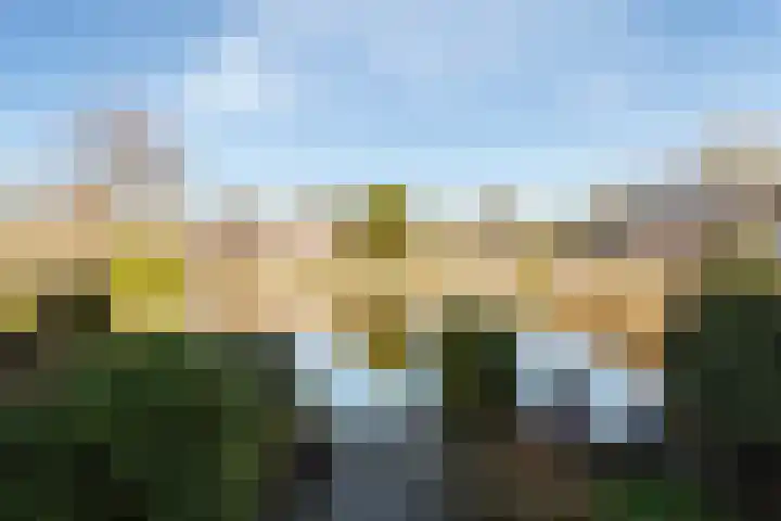 Snoeksloot 52 Zoetermeer thumbnail 29