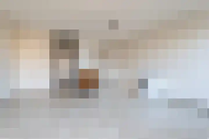 Snoeksloot 52 Zoetermeer thumbnail 8