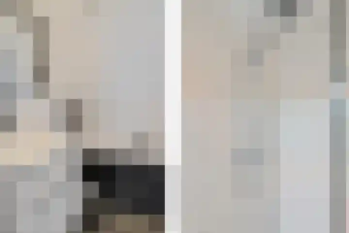 Snoeksloot 53 Zoetermeer thumbnail 35
