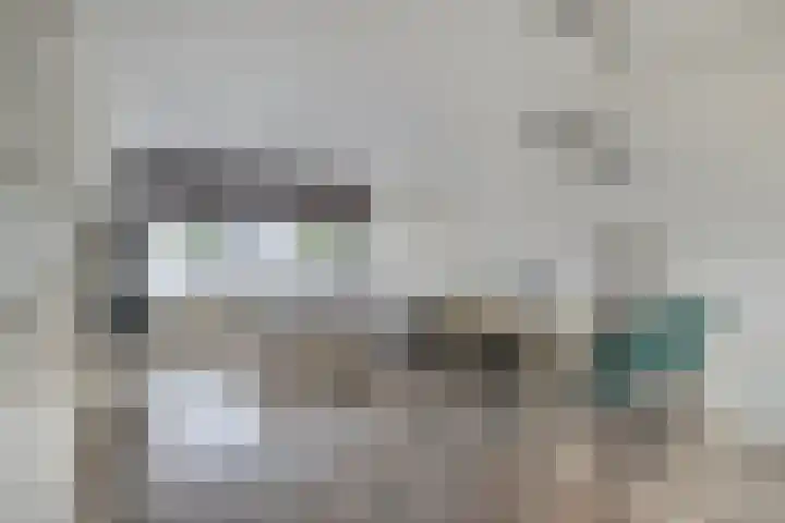 Snoeksloot 53 Zoetermeer thumbnail 7
