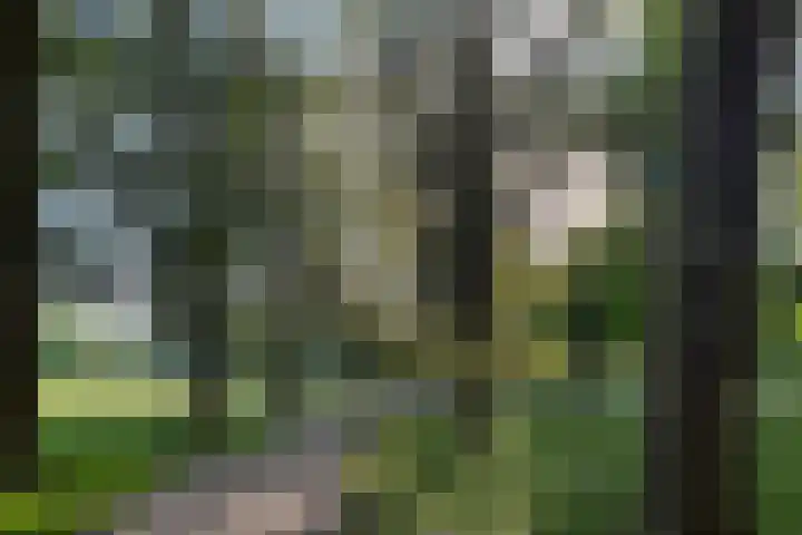 Snoeksloot 53 Zoetermeer thumbnail 8