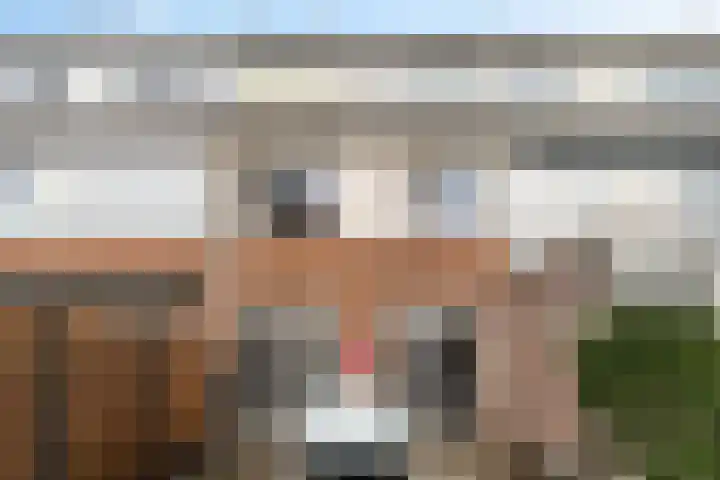 Snoeksloot 60 Zoetermeer thumbnail 13