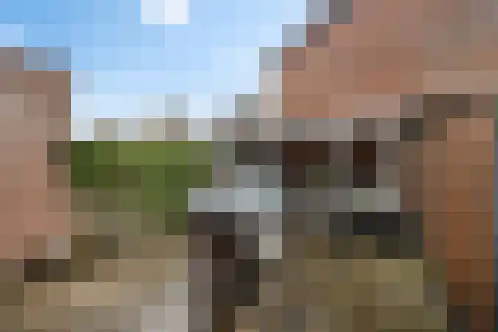 Snoeksloot 60 Zoetermeer thumbnail 14