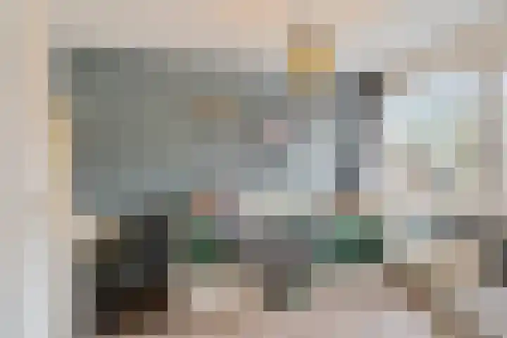 Snoeksloot 60 Zoetermeer thumbnail 30