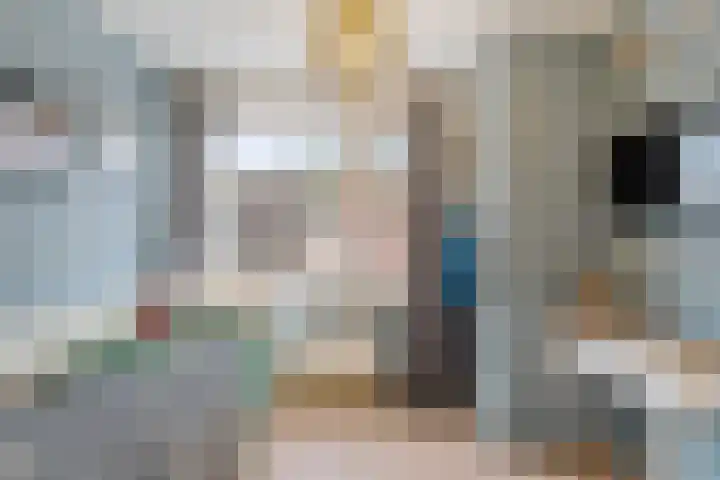 Snoeksloot 60 Zoetermeer thumbnail 31