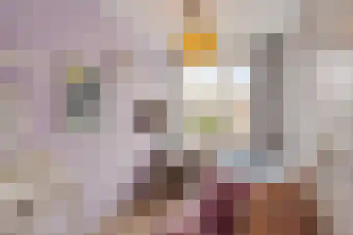 Snoeksloot 60 Zoetermeer thumbnail 32