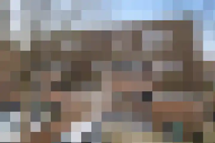 Snoeksloot 60 Zoetermeer thumbnail 4