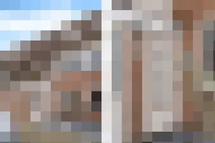 Snoeksloot 60 Zoetermeer thumbnail 5