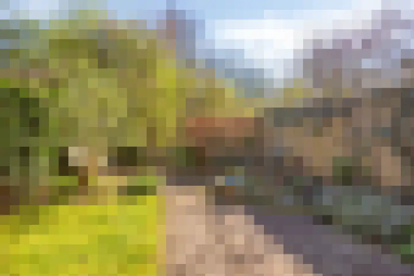 Snoeksloot 80 Houten thumbnail 26