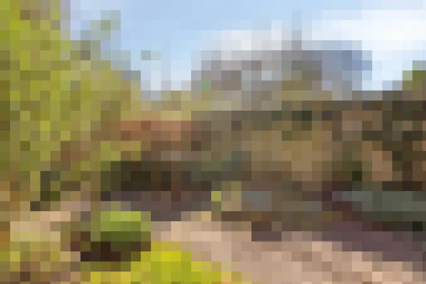 Snoeksloot 80 Houten thumbnail 27