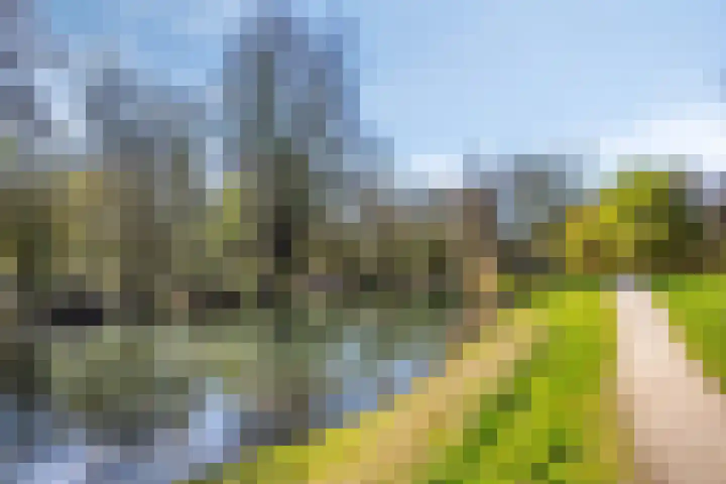 Snoeksloot 80 Houten thumbnail 36