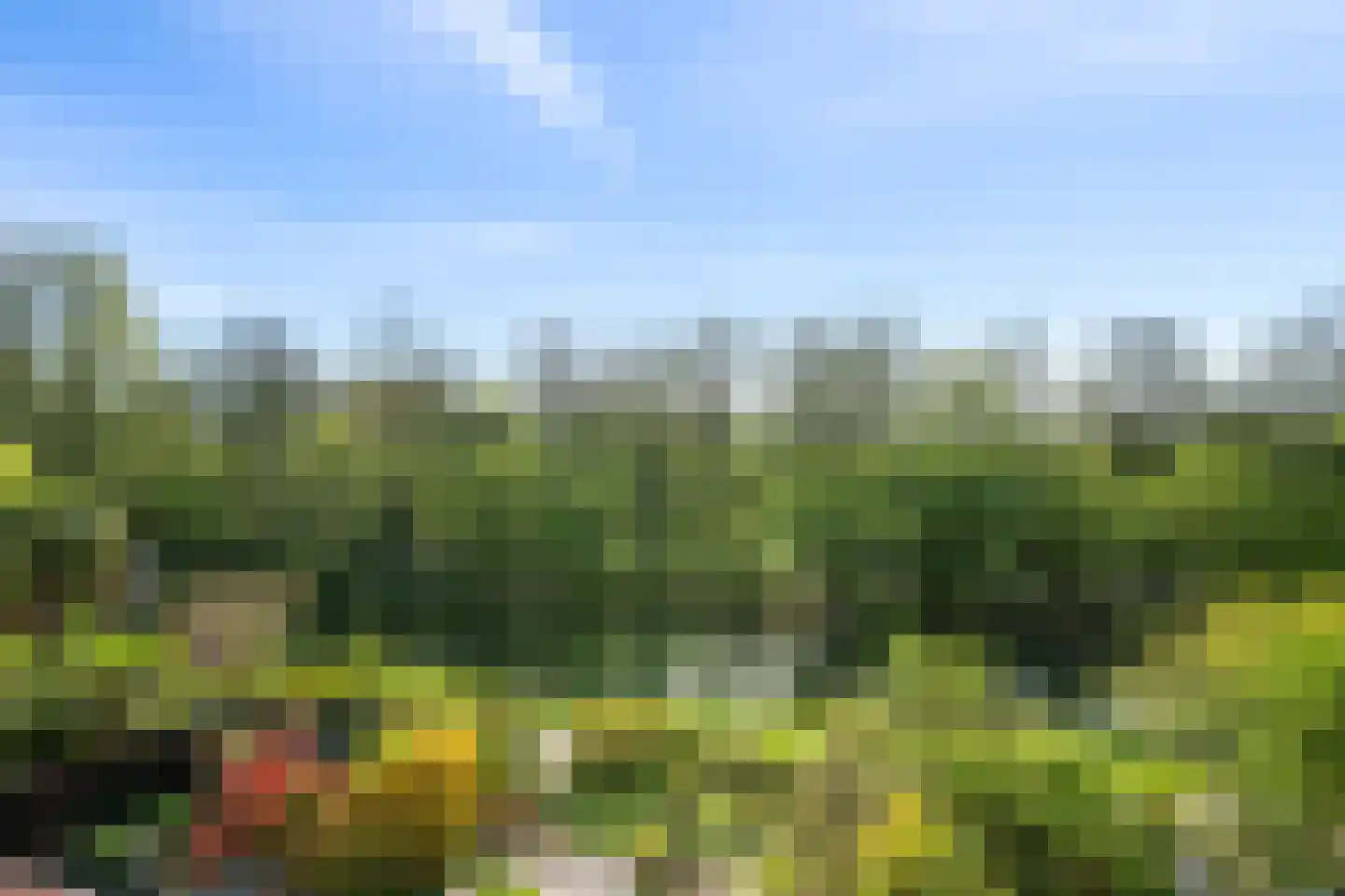 Snoeksloot 90 Houten thumbnail 19