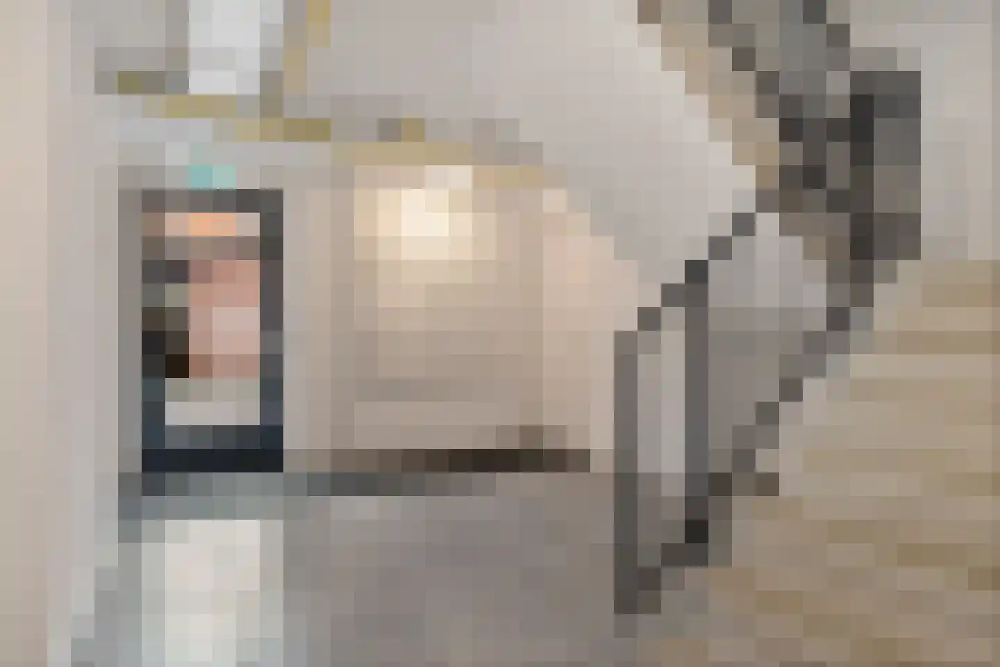 Snoekstraat 2 F Den Haag thumbnail 10