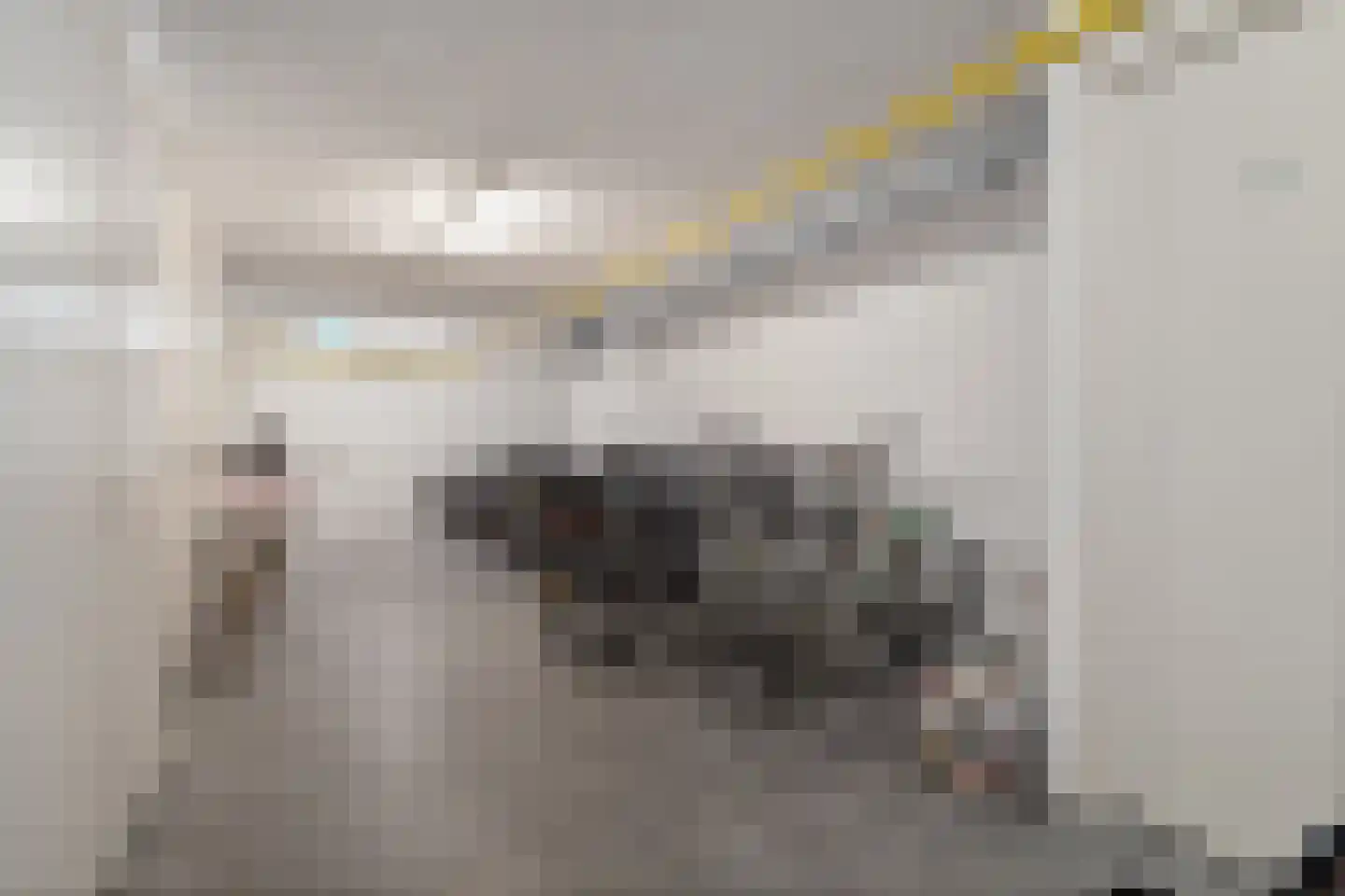 Snoekstraat 2 F Den Haag thumbnail 24