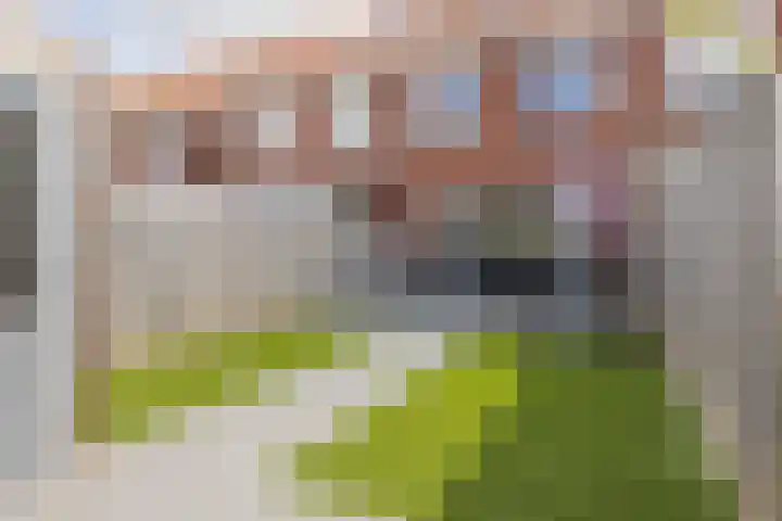 Snoekstraat 28 Arnhem thumbnail 10