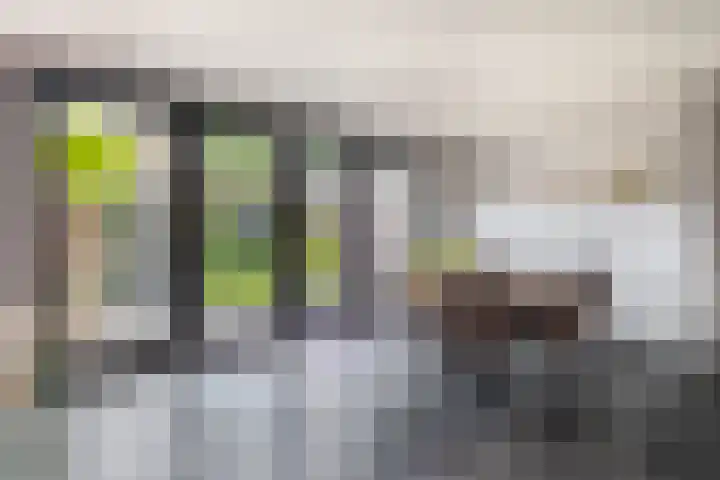 Snoekstraat 29 Eindhoven thumbnail 13