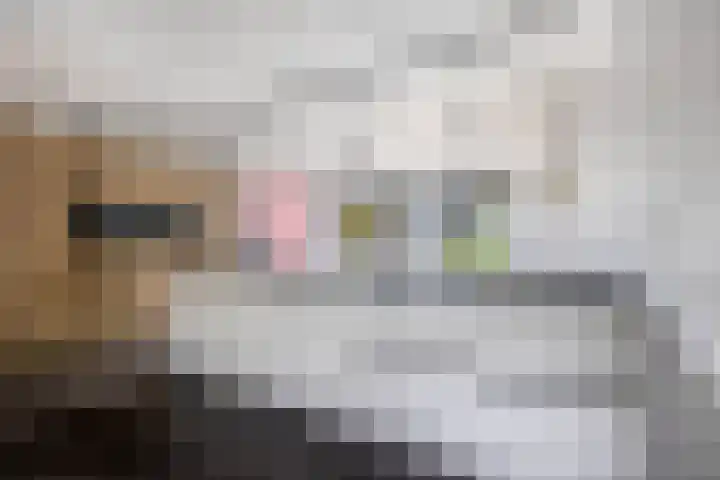 Snoekstraat 29 Eindhoven thumbnail 15