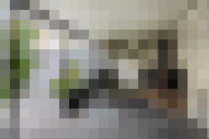 Snoekstraat 29 Eindhoven thumbnail 34