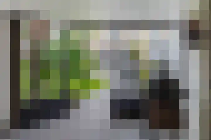 Snoekstraat 29 Eindhoven thumbnail 35